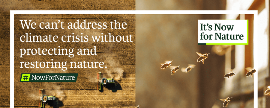 We can't address the climate crisis without protecting and restoring nature.