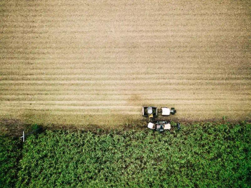 Tractor cutting down fields