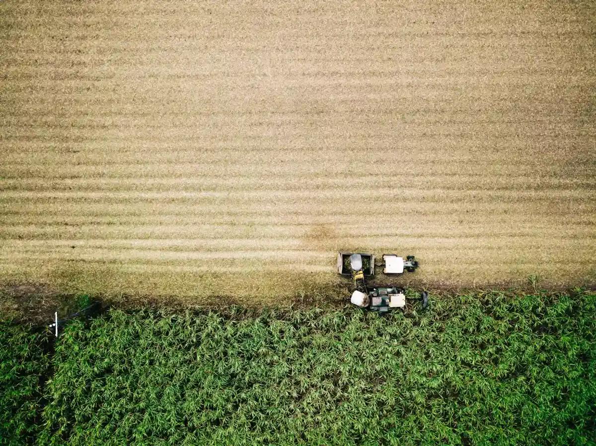 Tractor cutting down fields
