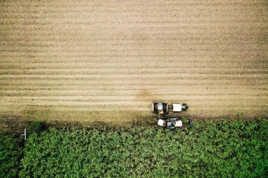 Tractor cutting down fields