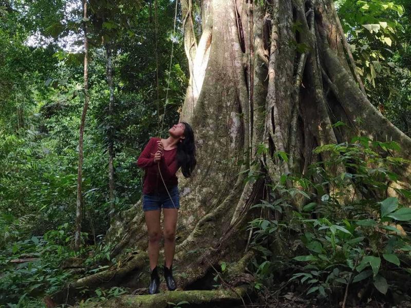 A brown person wearing shorts and a red long sleeve top stands underneath a large tree in a rainforest.