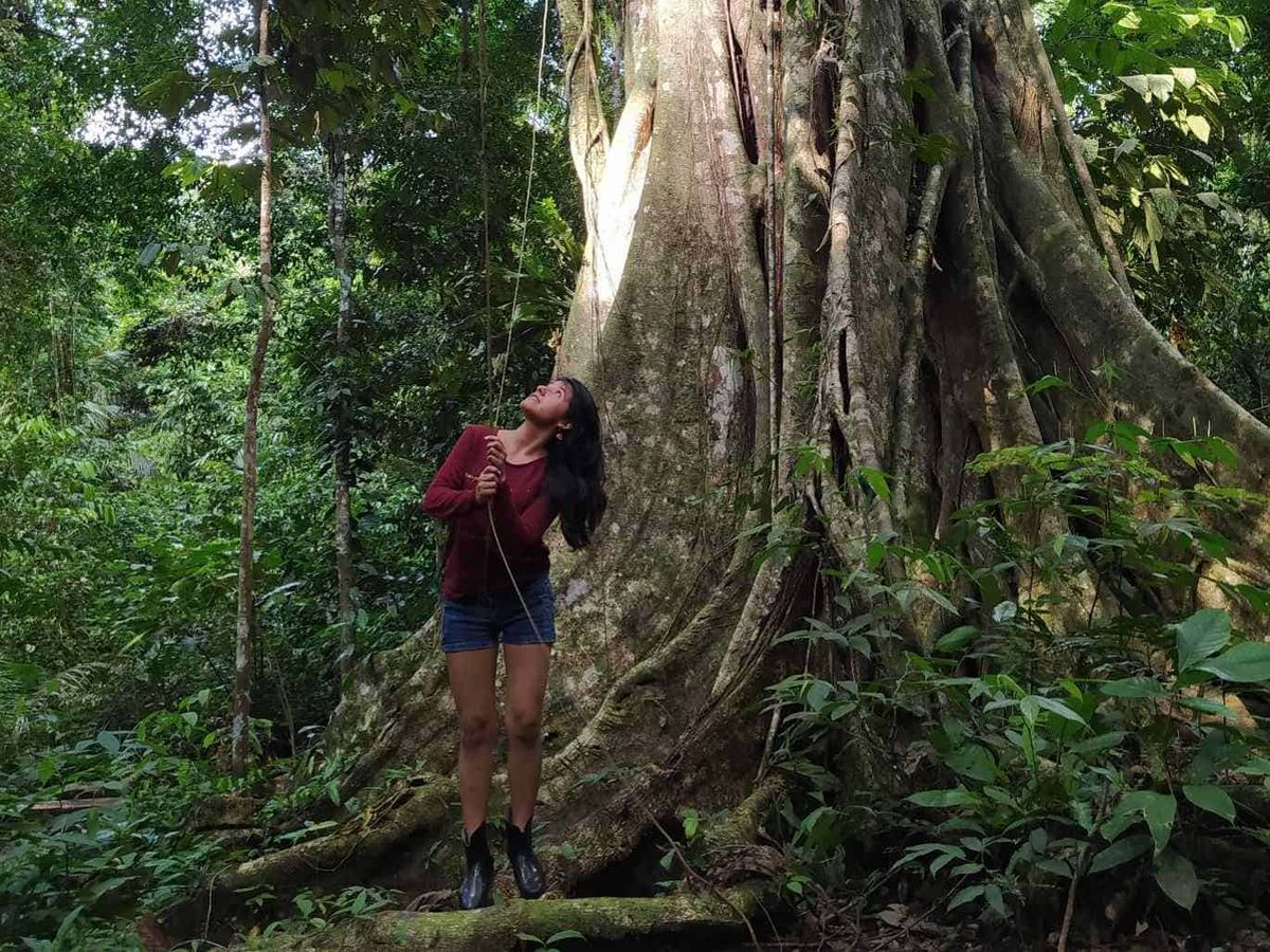 A brown person wearing shorts and a red long sleeve top stands underneath a large tree in a rainforest.