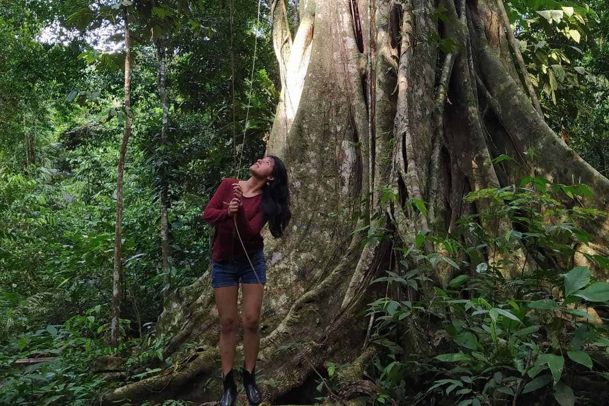 A brown person wearing shorts and a red long sleeve top stands underneath a large tree in a rainforest.