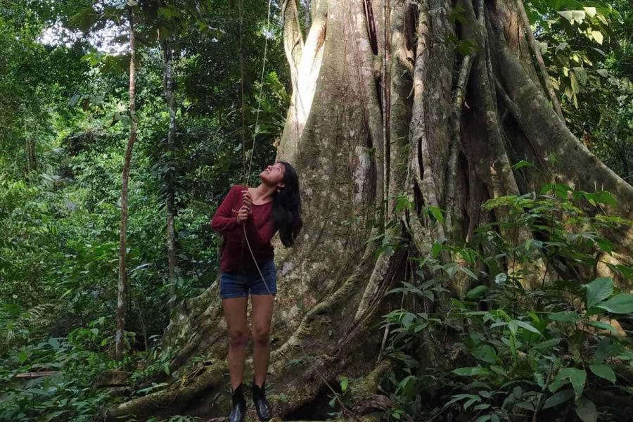 A brown person wearing shorts and a red long sleeve top stands underneath a large tree in a rainforest.