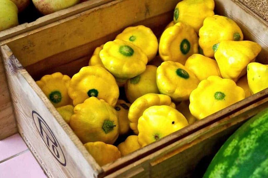 olio food sharing