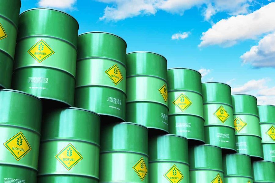 Picture of biofuel barrels