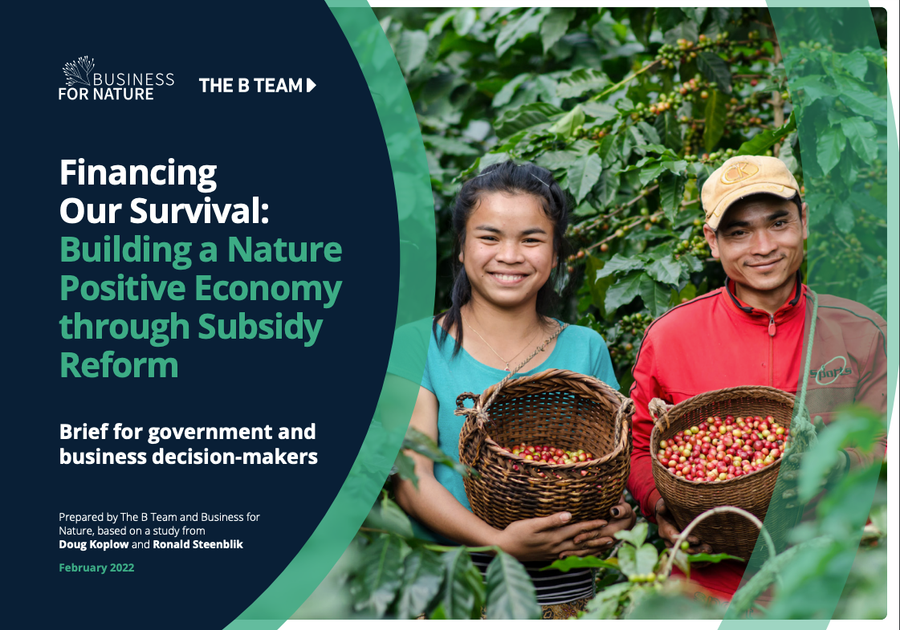 Cover of the Financing Our Survival: Building a Nature Positive Economy Through Subsidy Reform research paper