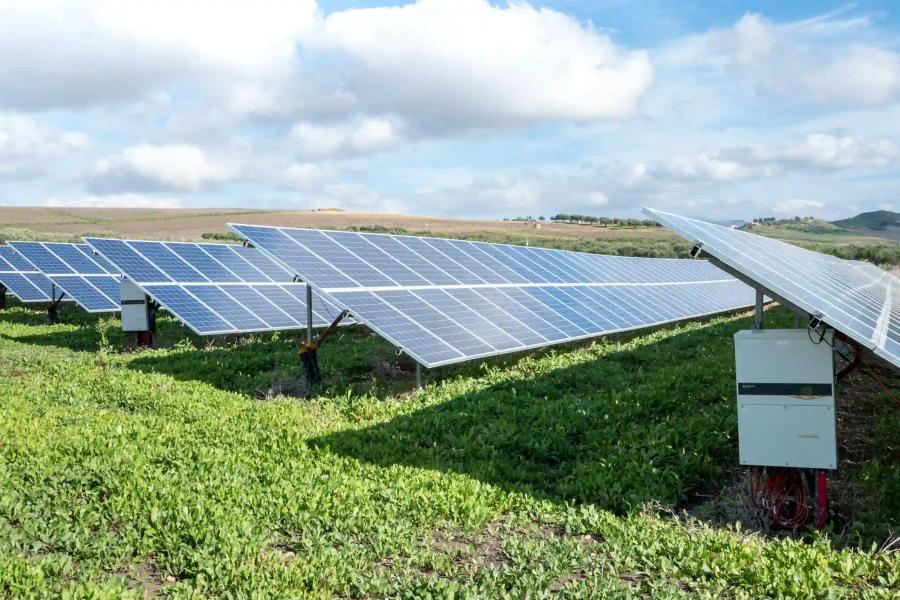 Solar panels in field