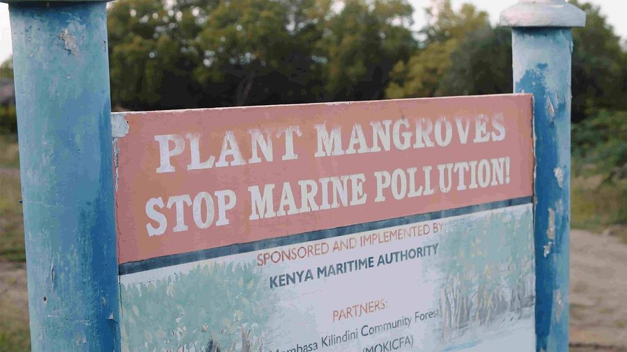 Sign reading 'plant mangroves, stop marine pollution'
