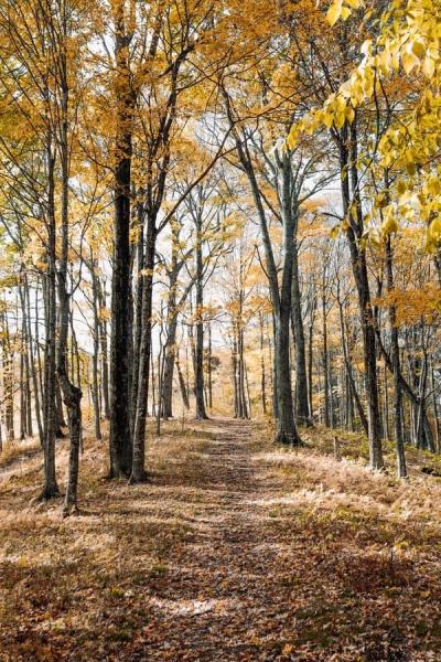 Leaders Pledge for Nature
