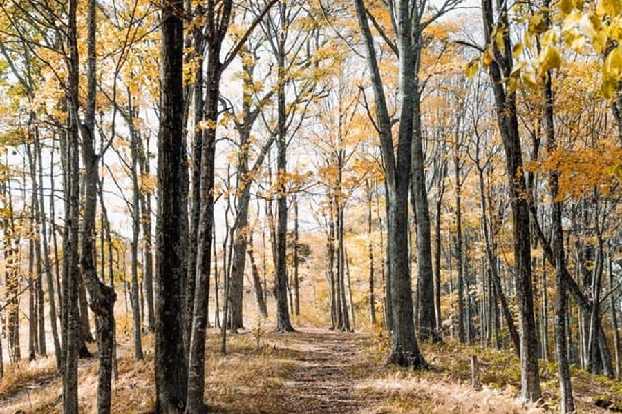 Leaders Pledge for Nature