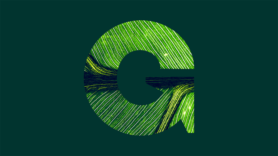Greenhouse mission green G with leaf background