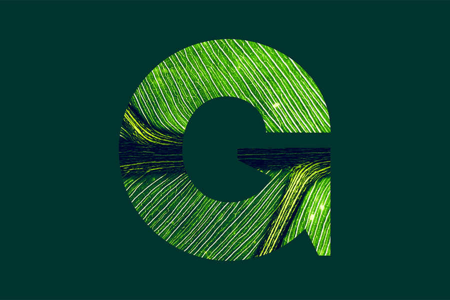 Greenhouse mission green G with leaf background