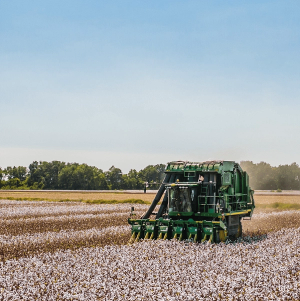 A tractor harvesting plants on a farm