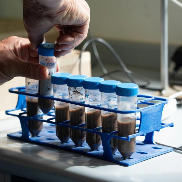 Test tubes put into track
