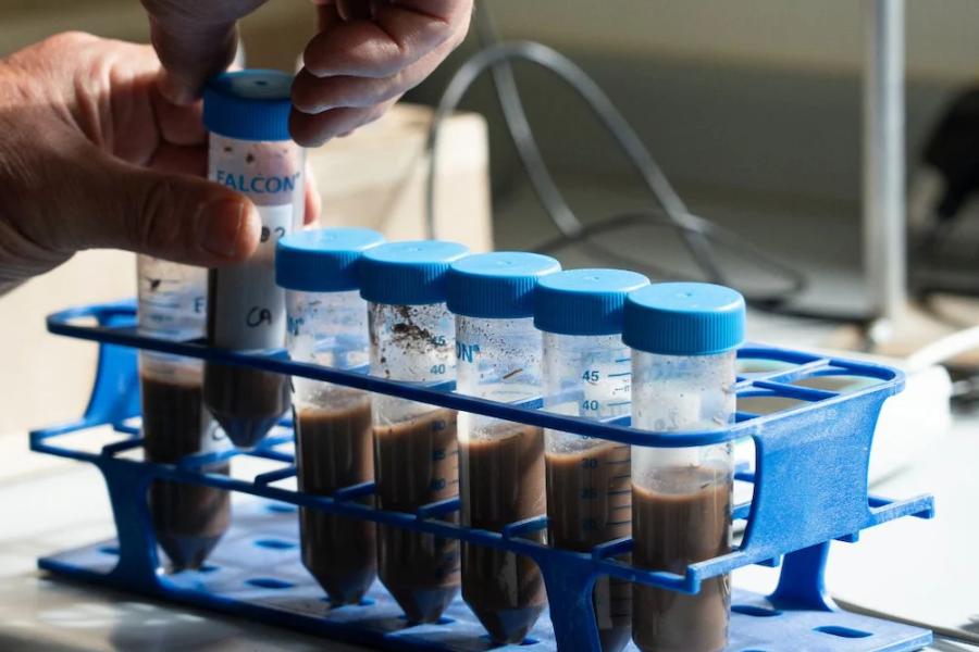 Test tubes put into track