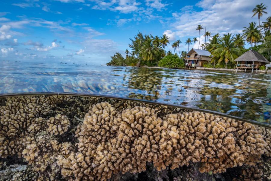 Ocean image