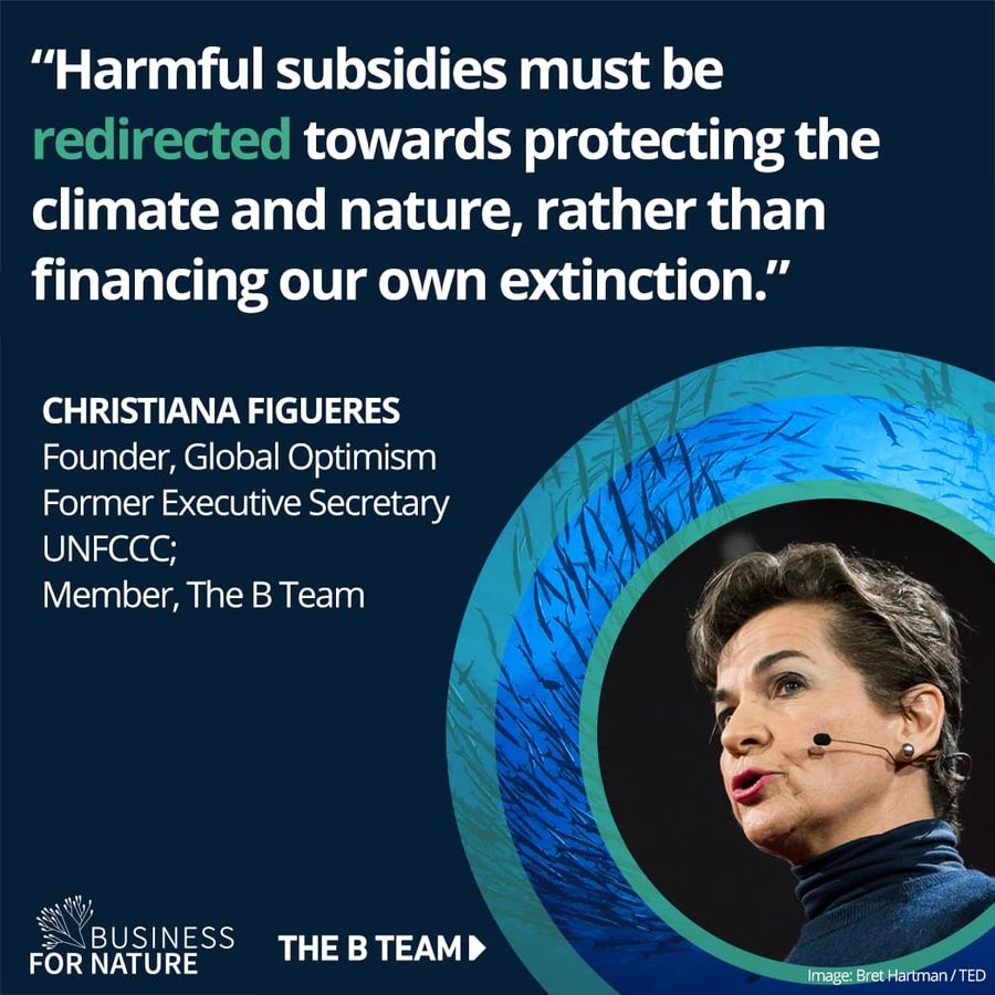 Quote card to promote Financing Our Survival: Building a Nature Positive Economy Through Subsidy Reform research paper