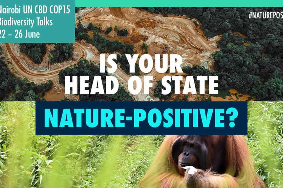 Banner saying is Your Head of State Nature-positive?