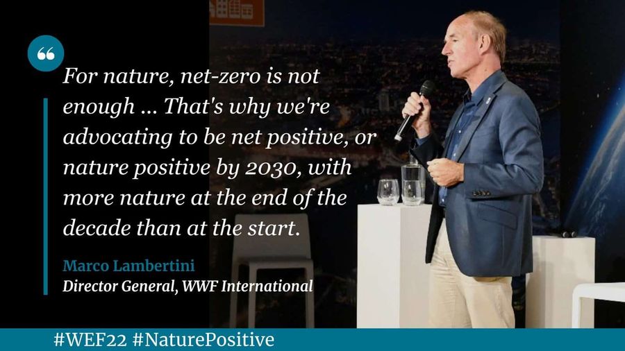 Quote and image of Marco Lambertini from WWF