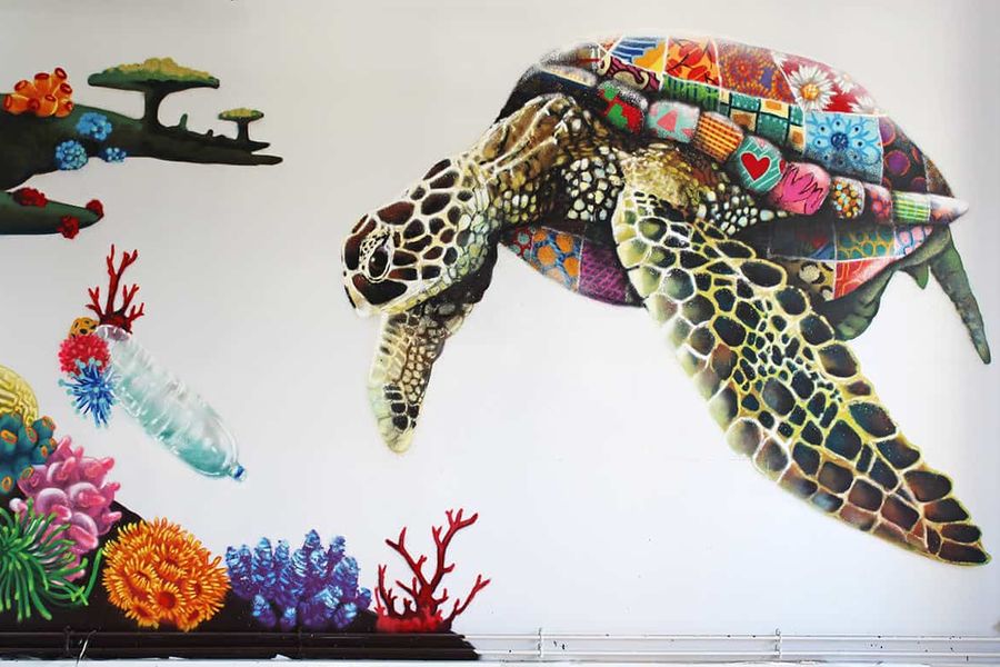 Louis Masai turtle