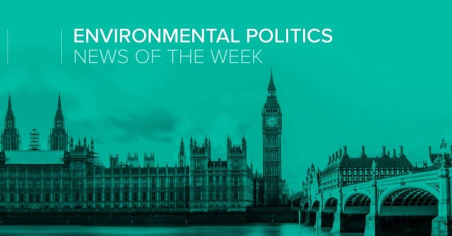 environmental politics