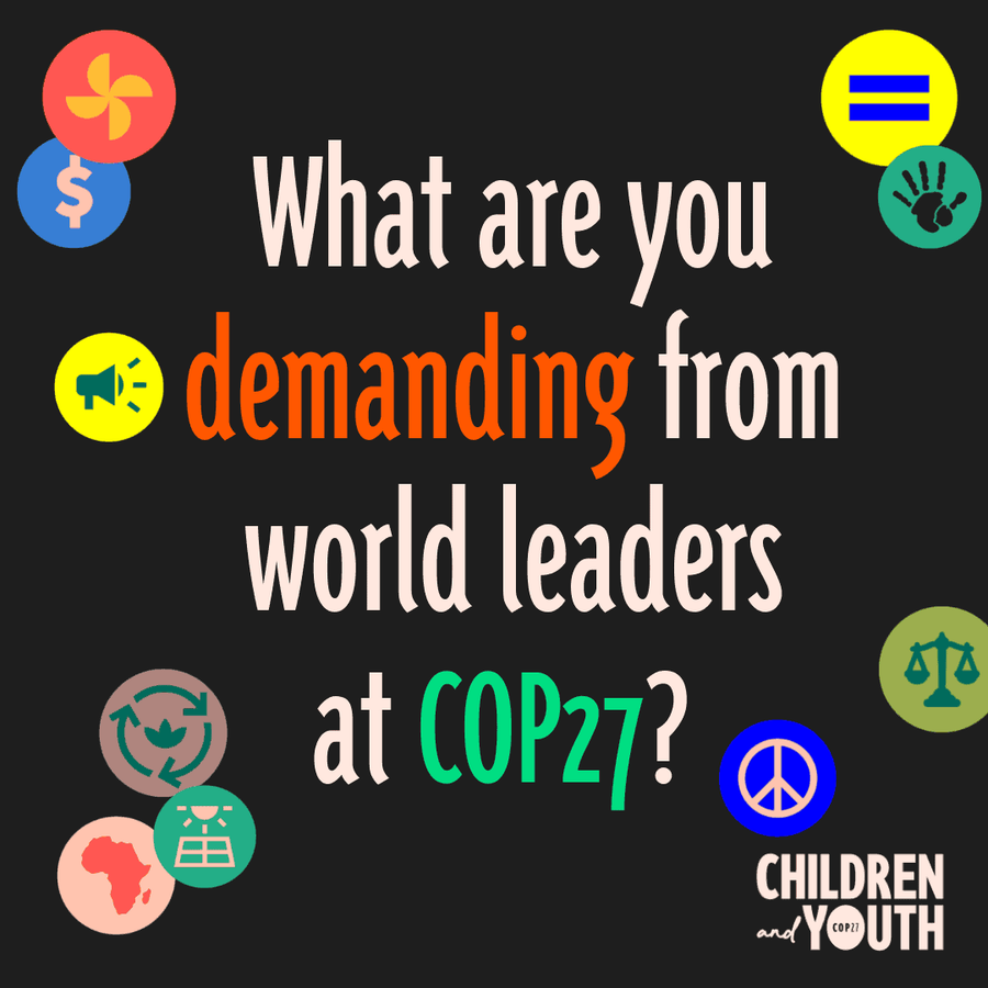 Graphic saying What Are You Demdaning From World Leaders At COP27?