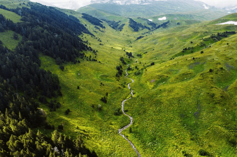 Positioning nature finance on the global agenda