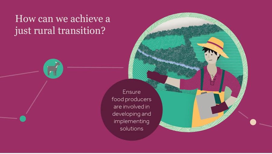 Graphic reading How Can We Achieve A Rural Just Transition