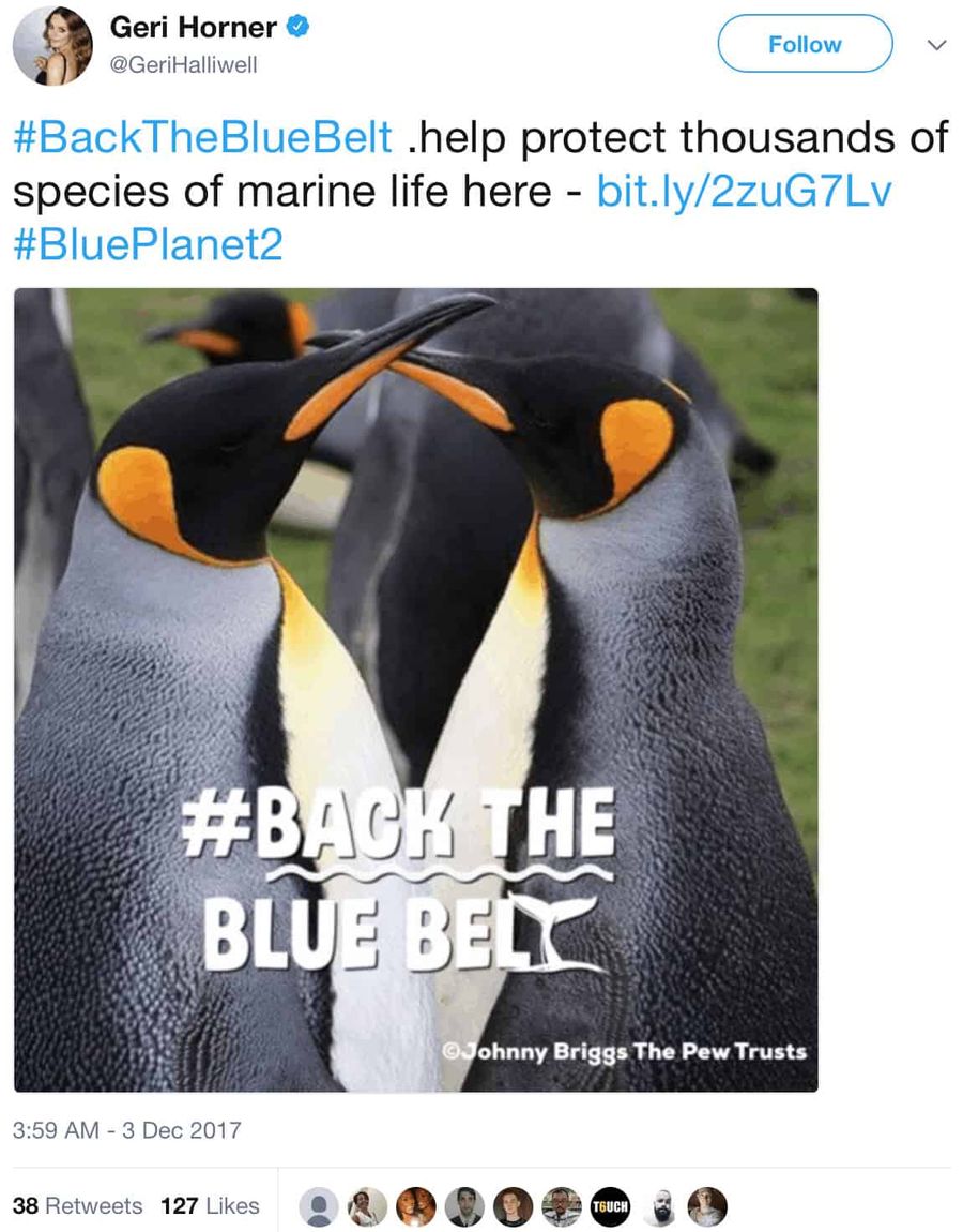 #Backthebluebelt
