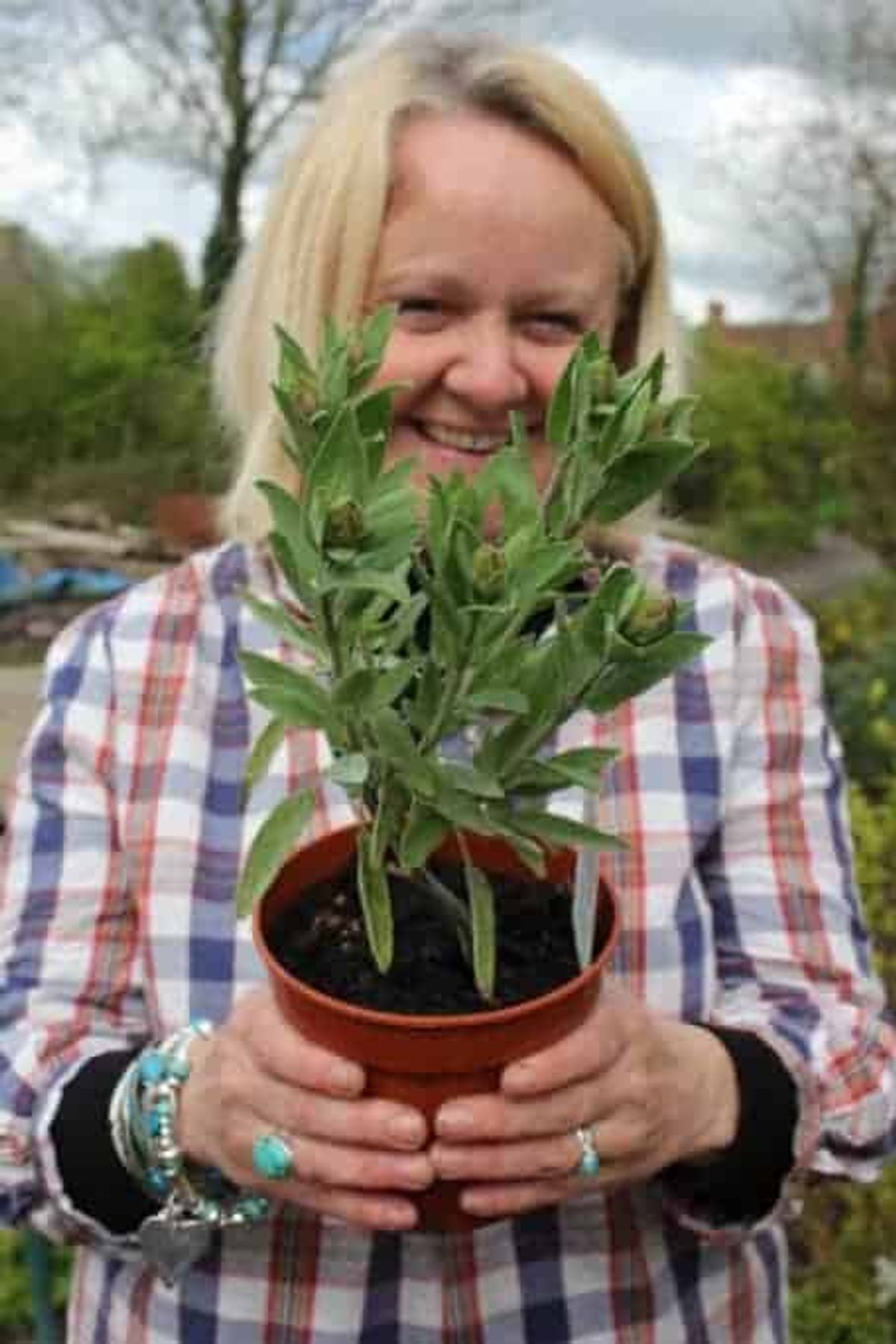 incredible edible