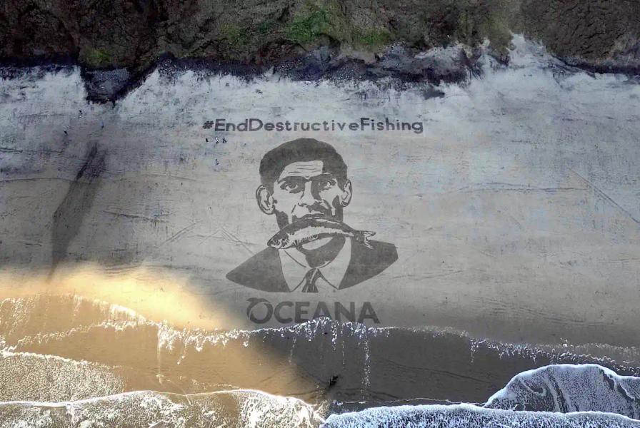 'Fishi Rishi' art stunt by Oceana UK