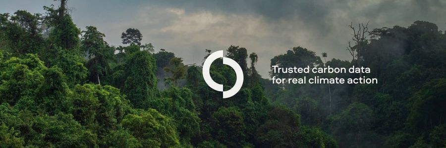Sylvera logo placed on top of treescape