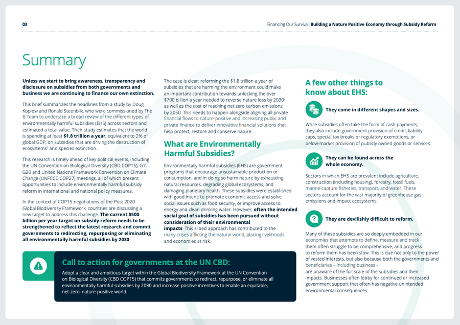 Summary page of the Financing Our Survival: Building a Nature Positive Economy Through Subsidy Reform research paper