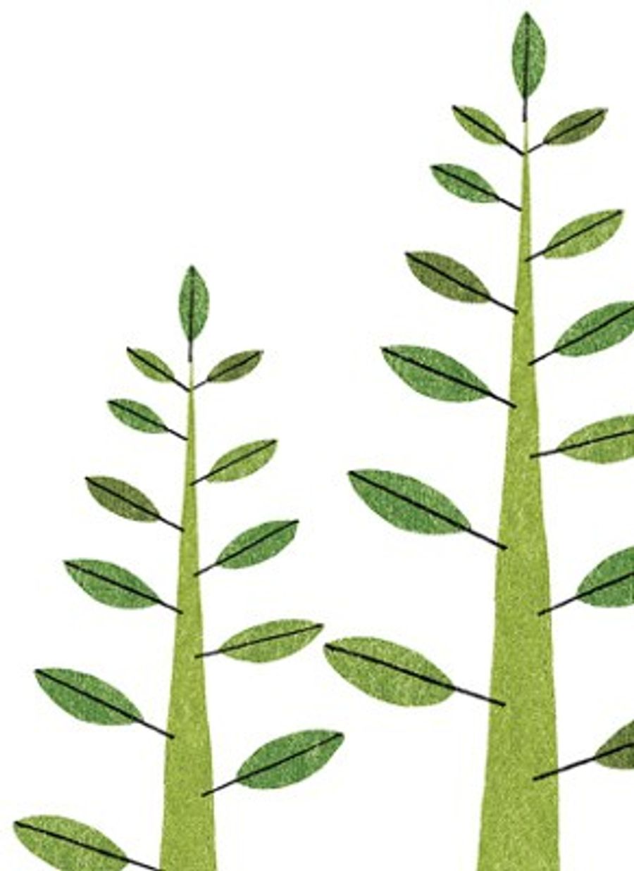 Illustration of trees