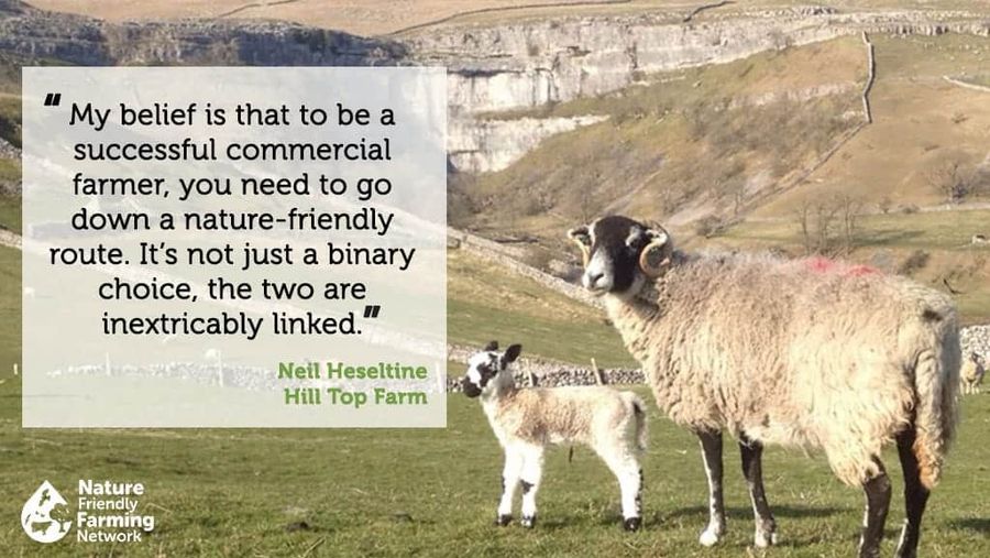 Neil Heseltine quote