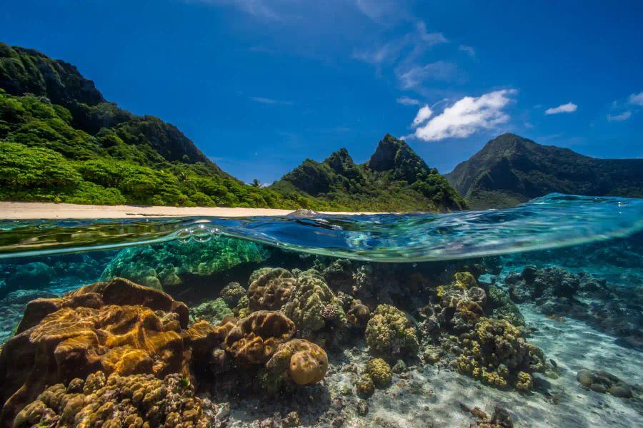 shot of under water and above water beach view