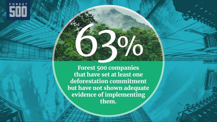 63% of Forest 500 companies that have set at least one deforestation commitment but have shown adequate evidence of implementing them.