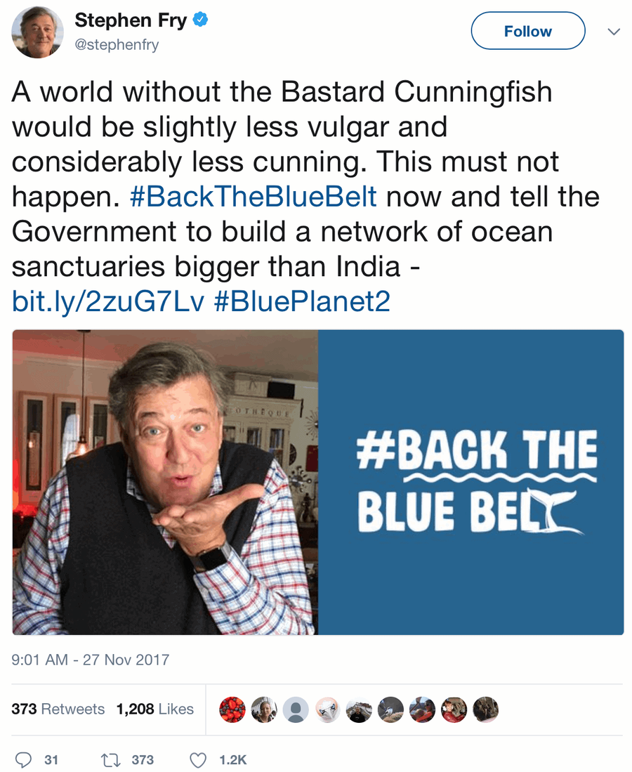 #Backthebluebelt