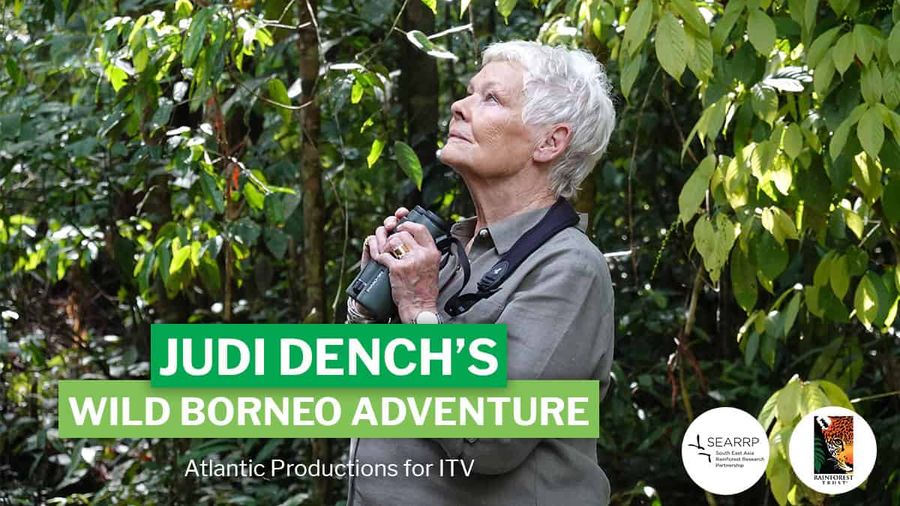 Judi Dench in Borneo