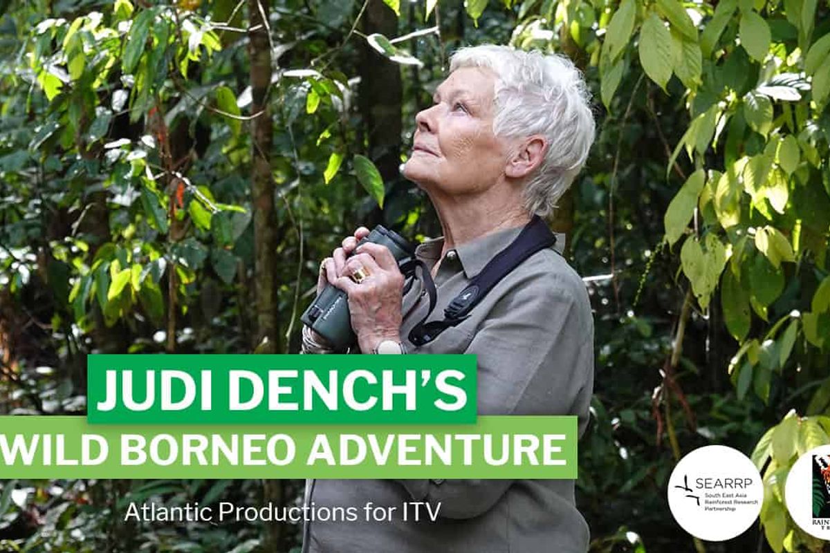 Judi Dench in Borneo