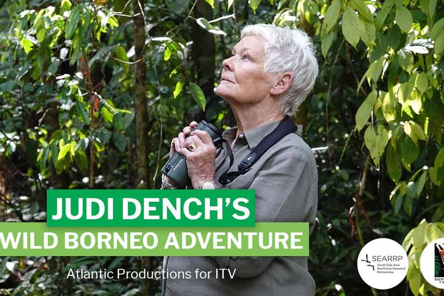 Judi Dench in Borneo