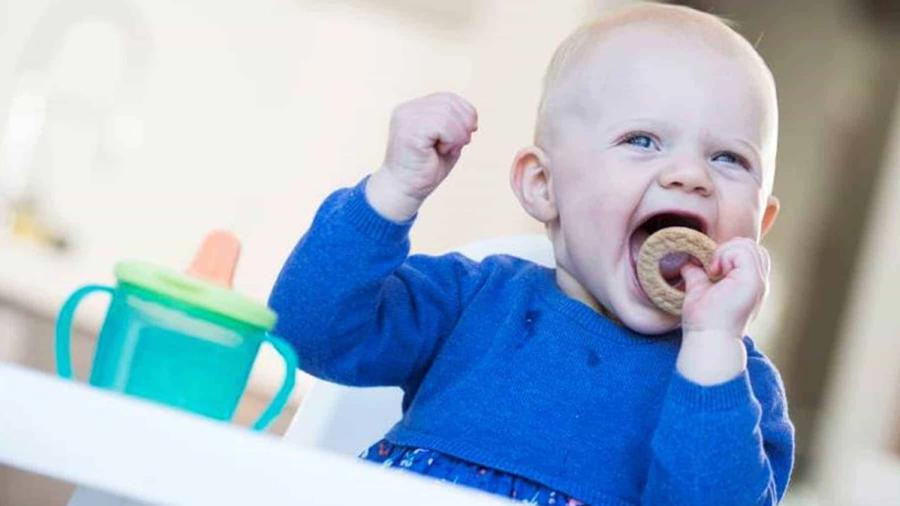 Organix baby biscuits
