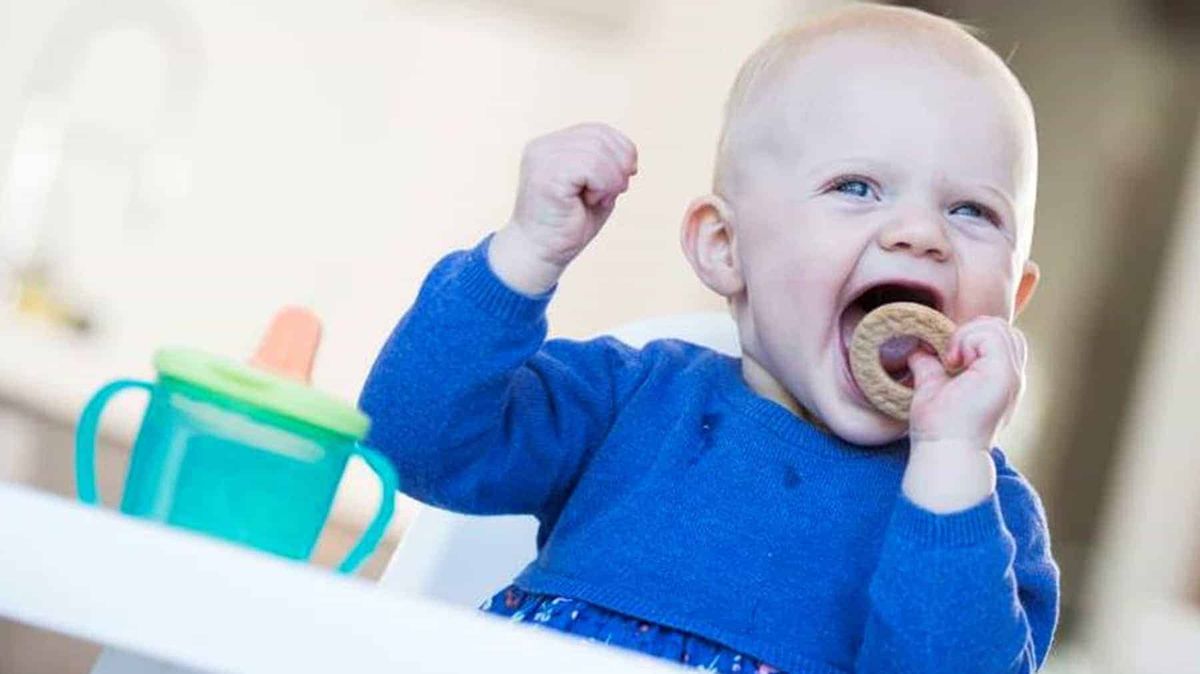 Organix baby biscuits