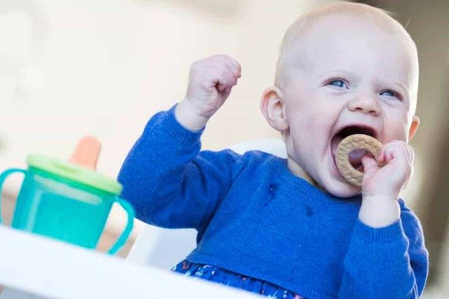 Organix baby biscuits