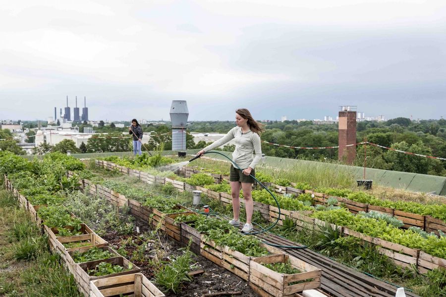 Community-green-roof