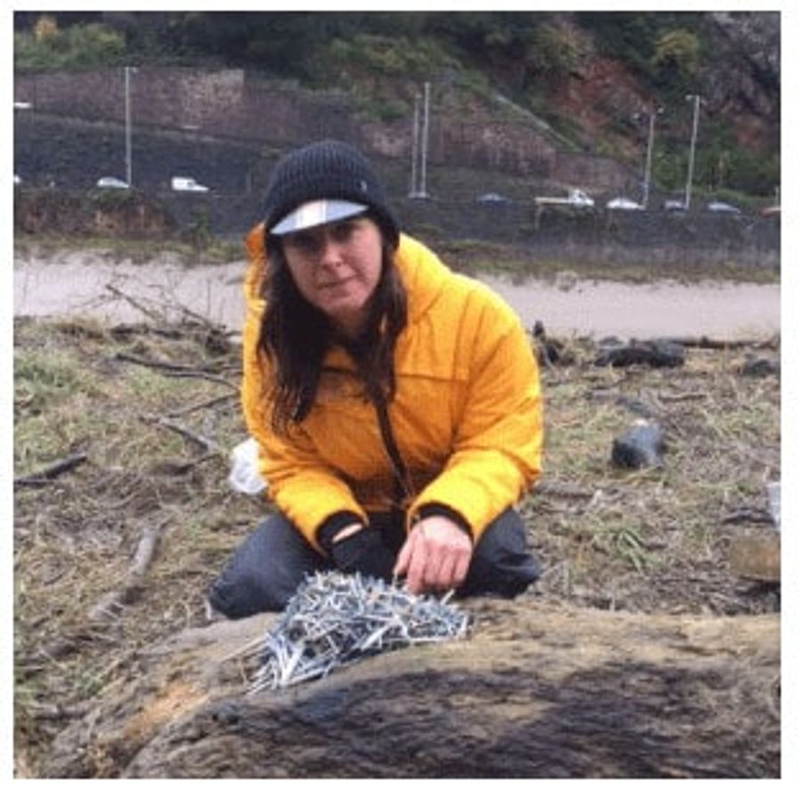 Natalie collecting cotton bud sticks on the banks of the River Avon. . Over 1000 plastic stems picked up on a 250m stretch of riverbank.