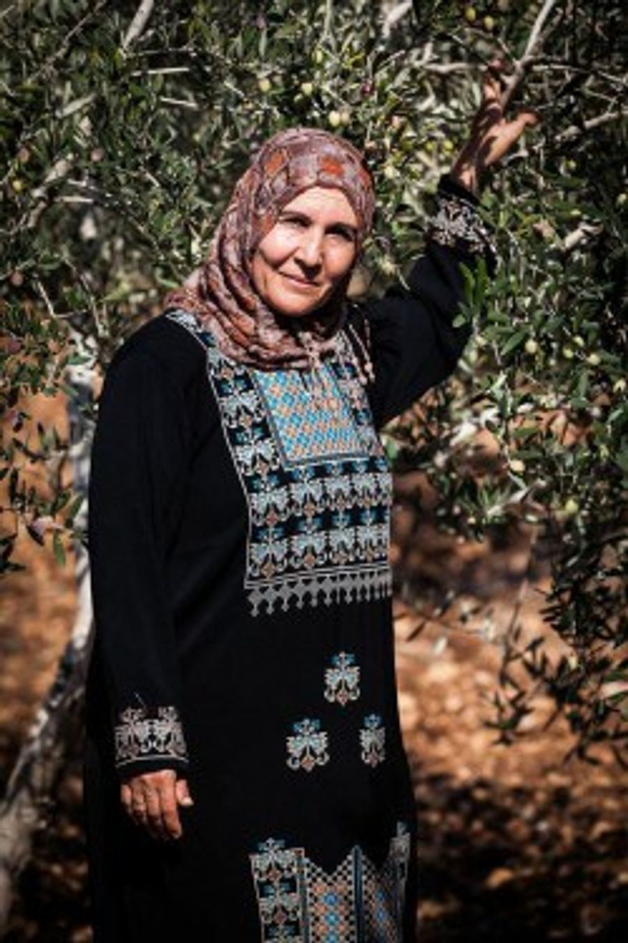 Woman and tree