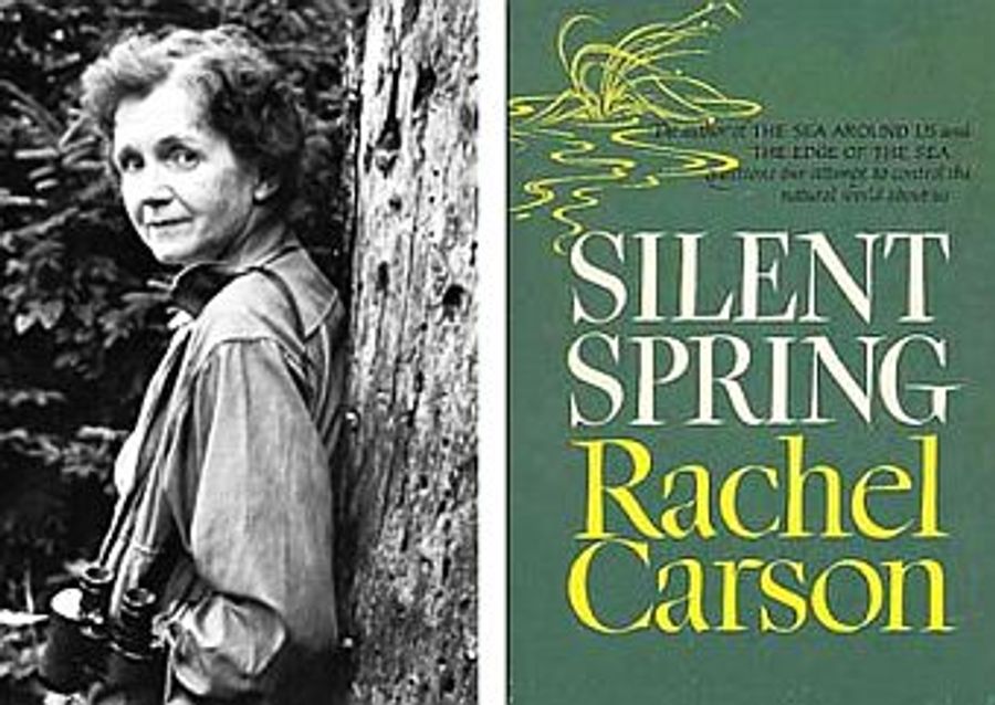 silent spring