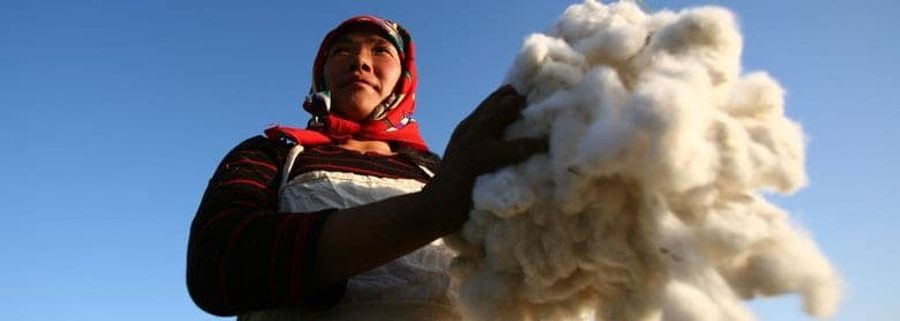 cotton_71904217.jpg__782x279_q85_crop-smart_subject_location-1485,899_upscale